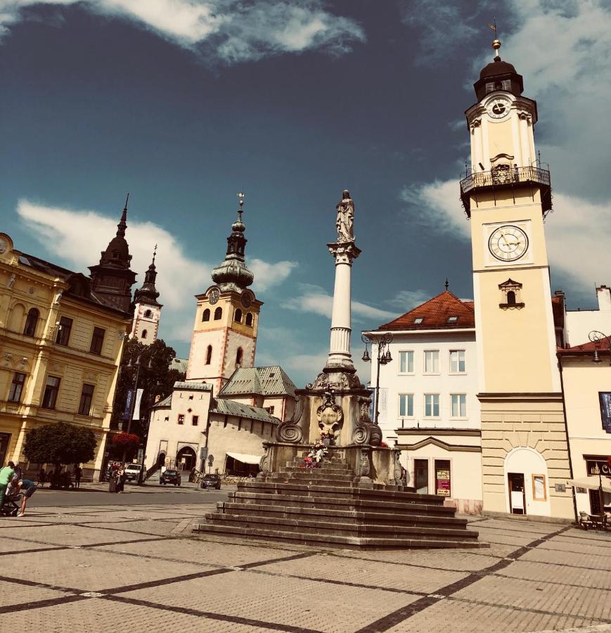 Bl - The Penthouse, 24Hr Self Check-In, 2 Bedrooms, Fireplace, Ac, Panoramic View From Main Balcony, 3-Minute Walk To City Center Banska Bystrica Exterior photo